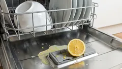 Trebate li staviti limun u perilicu posuđa? Zašto se to preporučuje i kako utječe na vaše posuđe.