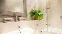 Kućne biljke koje mogu pomoći u borbi protiv visoke vlažnosti u vašem stanu